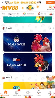 Đá Gà MV88 – Trải Nghiệm Hấp Dẫn, Kịch Tính Không Thể Bỏ Lỡ Đá Gà MV88 – Trải Nghiệm Hấp Dẫn, Kịch Tính Không Thể Bỏ Lỡ